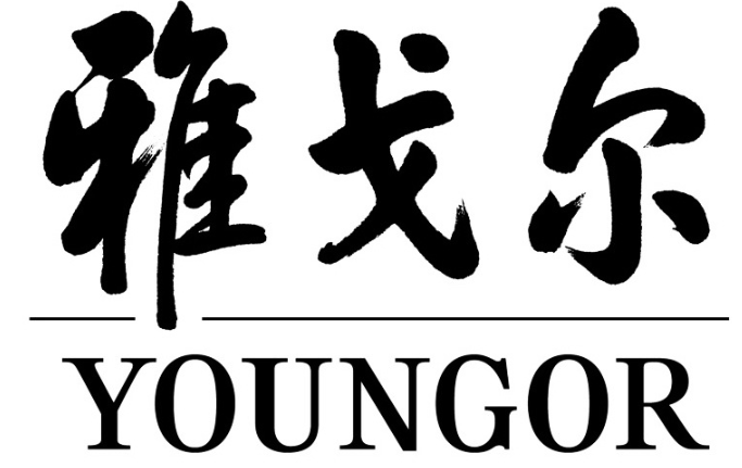 雅戈尔YOUNGOR品牌LOGO